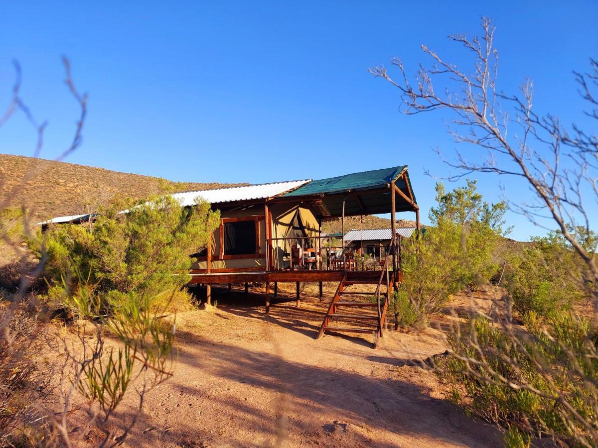 Agama Tented Camp Garies Exteriér fotografie